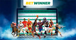 Comprehensive Insights and Reviews BetWinner Comprehensive Insights and Reviews BetWinner