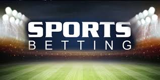 Discover the Exciting Features of tembo bet Discover the Exciting Features of tembo bet